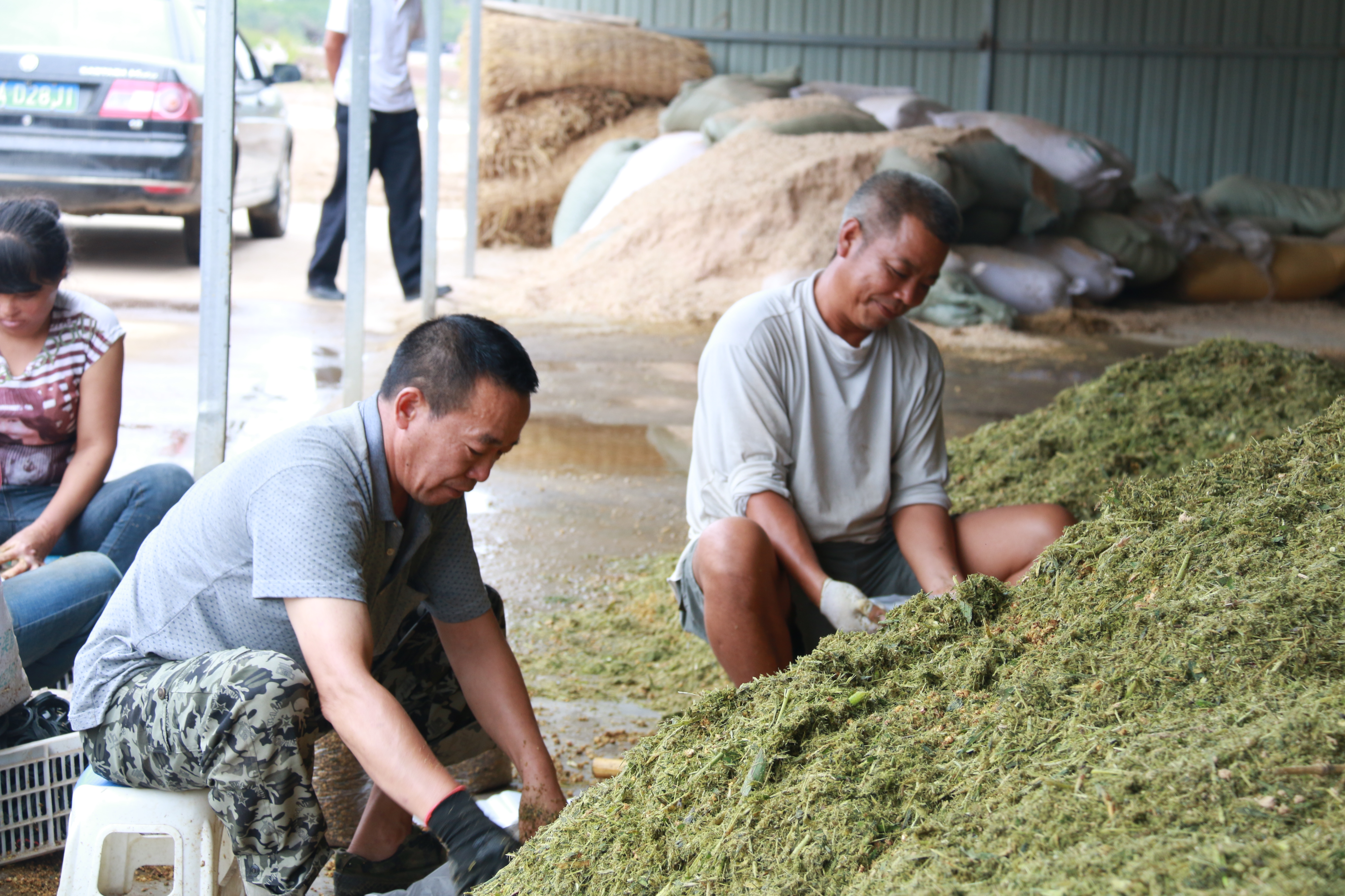 suncitygroup̫������--�ٷ���վ