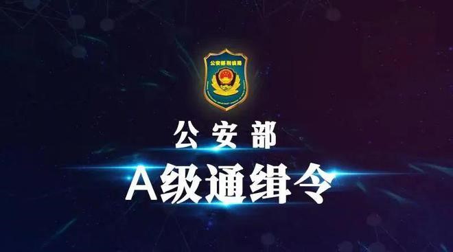 suncitygroup̫������--�ٷ���վ