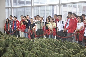 suncitygroup̫������--�ٷ���վ