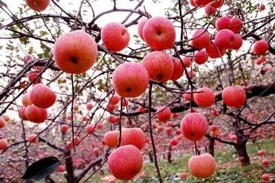 suncitygroupÌ«Ñô¼¯ÍÅ--¹Ù·½ÍøÕ¾