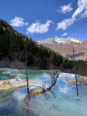 suncitygroup̫������--�ٷ���վ