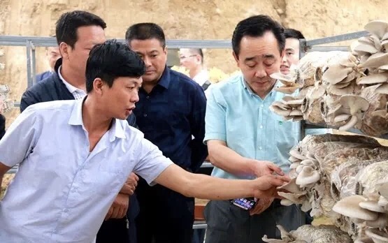 suncitygroup̫������--�ٷ���վ